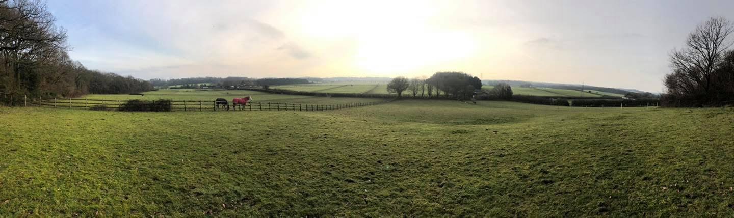Rolling paddocks divided by post and rail fencing, with horses grazing in the distance